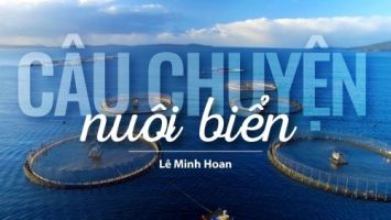 Câu chuyện nuôi biển