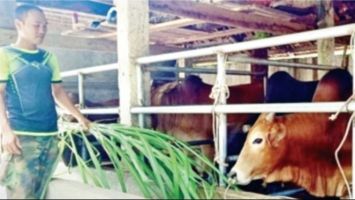 Bài 1: Tạo động lực để người dân vươn lên thoát nghèo