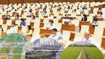 Đại biểu chuyên trách và dự thảo Luật Đất đai (sửa đổi)