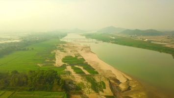 Nhút Thanh Chương, hương vị đặc sản xứ Nghệ