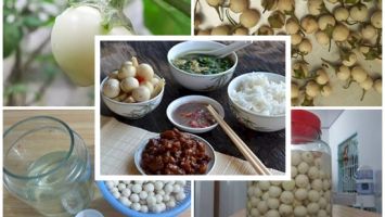 Món cà muối xứ Nghệ