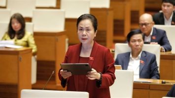 Cân nhắc kỹ các dự án đấu thầu liên quan đến bất động sản