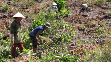 Sở Tài nguyên và Môi trường trả lời kiến nghị cử tri huyện Quỳ Hợp về việc bàn giao đất từ Lâm trường Đồng Hợp
