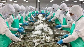 Thủ tướng yêu cầu nghiên cứu gói tín dụng 10 nghìn tỷ đồng cho ngành lâm, thủy sản