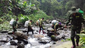 UBND tỉnh Nghệ An thống nhất thông qua dự thảo Nghị quyết về hỗ trợ kinh phí cho lực lượng chuyên trách bảo vệ rừng