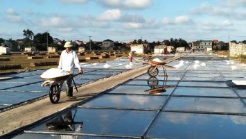 Sở Nông nghiệp và Phát triển nông thôn trả lời cử tri xã Quỳnh Long, huyện Quỳnh Lưu về chính sách hỗ trợ cho diêm dân