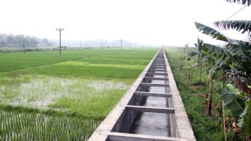 Sở Nông nghiệp và Phát triển nông thôn trả lời cử tri xã Hưng Thông, huyện Hưng Nguyên về Dự án cải tạo, nâng cấp trạm bơm và hệ thống kênh xã Hưng Lĩnh