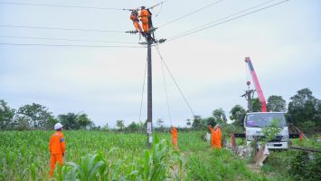 Chủ tịch UBND tỉnh Nghệ An chỉ đạo thực hiện kịp thời các nhiệm vụ cấp bách về điện năng