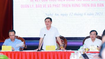Chủ tịch HĐND tỉnh nhấn mạnh 8 nhóm nhiệm vụ cần tập trung trong quản lý, phát triển rừng và lâm nghiệp