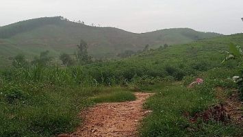 Sở Tài nguyên và Môi trường trả lời cử tri xóm Bãi Kè, xã Đồng Hợp, huyện Quỳ Hợp về việc giao đất không thể sản xuất