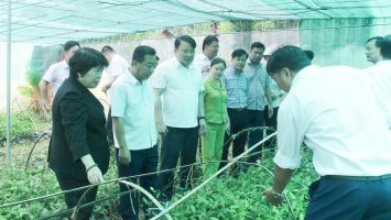 Chủ nhiệm Ủy ban Xã hội của Quốc hội: Chú trọng nâng cao nhận thức, khát vọng thoát nghèo, làm giàu trong nhân dân