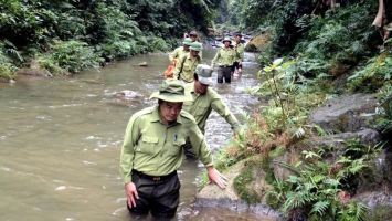 Nghệ An chi không quá 15 tỷ đồng mỗi năm từ nguồn ngân sách hỗ trợ lực lượng chuyên trách bảo vệ rừng