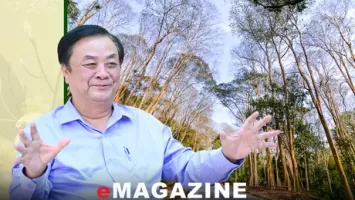 Rừng Nghệ An và những gợi mở của Bộ trưởng Lê Minh Hoan
