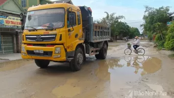 Sở Giao thông vận tải trả lời cử tri Hồ Thị Thìn, Chủ tịch MTTQ xã Quỳnh Bảng, huyện Quỳnh Lưu về nâng cấp tuyến đường và làm mương hai bên đường tuyến 537B