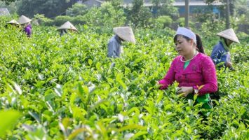 Bộ Nông nghiệp và Phát triển nông thôn trả lời kiến nghị cử tri về Chương trình mục tiêu quốc gia phát triển kinh tế - xã hội vùng đồng bào DTTS và MN