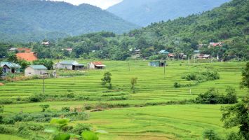 HĐND tỉnh Nghệ An điều chỉnh nguồn kinh phí thực hiện Chương trình mục tiêu quốc gia giảm nghèo