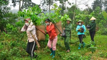 Sở Y tế trả lời cử tri xã Xuân Hoà, huyện Nam Đàn về chính sách hỗ trợ bảo hiểm y tế cho các hộ cá nhân làm nông, lâm, ngư nghiệp