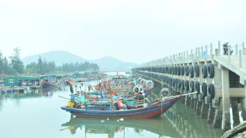 Sở Nông nghiệp và Phát triển nông thôn trả lời kiến nghị cử tri huyện Nghi Lộc về khơi luồng lạch tại khu vực bến neo đậu tàu thuyền ở khu vực bara Nghi Quang