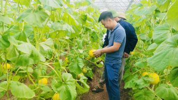 GIẢI PHÁP PHÁT TRIỂN NÔNG NGHIỆP ỨNG DỤNG  CÔNG NGHỆ CAO HUYỆN NGHĨA ĐÀN