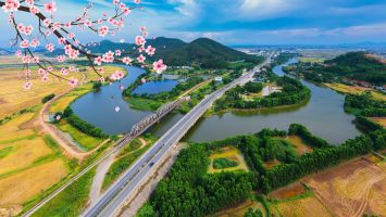 Tựa thế rồng vươn cao