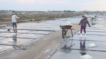 Sở Nông nghiệp và Phát triển nông thôn trả lời cử tri Phạm Minh Tuân, thôn Đức Long, xã Quỳnh Thuận, huyện Quỳnh Lưu về hỗ trợ thiệt hại đối với sản xuất muối