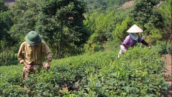 Bộ Lao động, Thương binh và Xã hội trả lời kiến nghị cử tri về đánh giá chỉ tiêu giảm nghèo bền vững