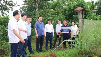 Xem xét, cơ cấu cấp ủy cùng cấp chức danh Trưởng ban HĐND