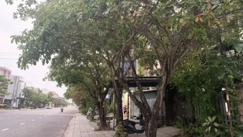 Bộ Công an yêu cầu cung cấp thông tin thi công dự án trồng, chăm sóc cây xanh các tỉnh, thành