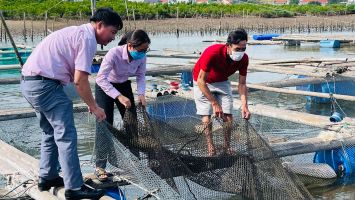 Sở Nông nghiệp và Phát triển nông thôn trả lời cử tri Hoàng Xuân Thụ, Phó Bí thư Thường trực Đảng ủy xã Quỳnh Xuân, thị xã Hoàng Mai về hỗ trợ, tập huấn cho người dân nuôi trồng thủy sản