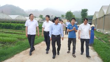 Đoàn giám sát HĐND tỉnh làm việc tại thị xã Thái Hòa về thực hiện các mục tiêu, chỉ tiêu kinh tế - xã hội