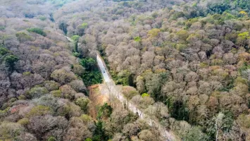 Chính phủ quy hoạch Nghệ An thành trung tâm lâm nghiệp ứng dụng công nghệ cao