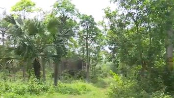 Thường trực HĐND tỉnh xử lý đơn của bà Trần Thị Huệ, trú tại xóm 18 B (Nam Liên), xã Nghi Liên, thành phố Vinh