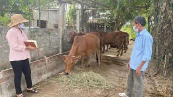 Quan tâm giải quyết kinh phí hỗ trợ thiệt hại do dịch tả lợn châu Phi và bệnh viêm da nổi cục ở trâu, bò cho người dân