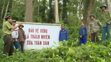 Cử tri kiến nghị về việc giao khoán đất rừng phòng hộ