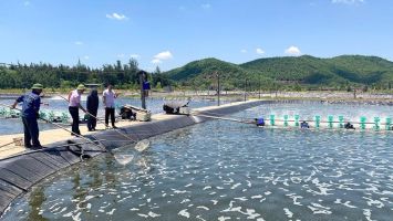 Đảm bảo an toàn thực phẩm nông lâm thủy sản