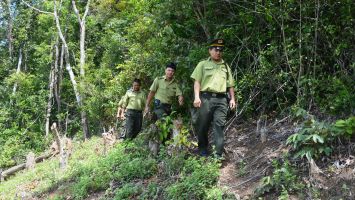 Sở Nông nghiệp và PTNT trả lời kiến nghị cử tri Quỳ Châu về kinh phí bảo vệ rừng năm 2022