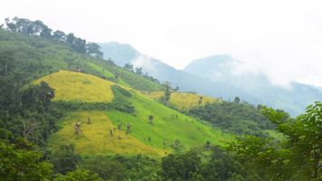 UBND tỉnh trả lời cử tri xã Lưu Kiền, huyện Tương Dương về xử lý dứt điểm tranh chấp địa giới hành chính giữa hai xã Lưu Kiền và Nậm Càn