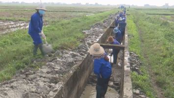 Sở Nông nghiệp và Phát triển nông thôn trả lời cử tri huyện Hưng Nguyên về việc nâng kinh phí cấp bù thủy lợi phí hàng năm