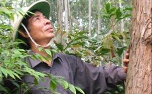 Lê Duy Nguyên - Người “phục dựng” những cánh rừng rú Xước