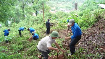 UBND tỉnh trả lời kiến nghị của cử tri huyện Tương Dương về chuyển mục đích sử dụng đất rừng phòng hộ sang đất ở