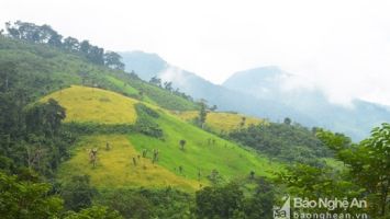 Quan tâm giải quyết dứt điểm tranh chấp địa giới hành chính giữa xã Mường Lống, huyện Kỳ Sơn và xã Nhôn Mai, huyện Tương Dương