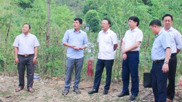 Đồng hành tháo gỡ khó khăn, thúc đẩy sự phát triển chung của tỉnh