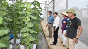 Trả lời kiến nghị cử tri xã Phúc Lộc về việc thu hồi và giao lại diện tích đất cho địa phương quản lý
