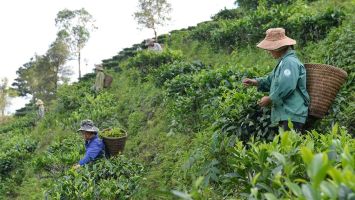 Phát triển ngành nghề nông thôn để thúc đẩy xây dựng nông thôn mới