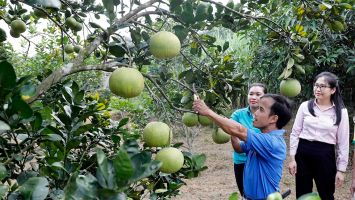 Vốn tín dụng chính sách xã hội - góp phần giảm nghèo, thoát bẫy “tín dụng đen”