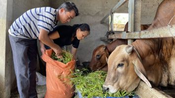 Huy động và sử dụng có hiệu quả nguồn vốn Chương trình mục tiêu quốc gia giảm nghèo