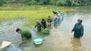 Thủ tướng yêu cầu phải thần tốc hơn nữa, huy động tối đa lực lượng khắc phục nhanh nhất hậu quả bão, mưa lũ