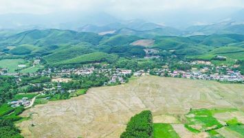 UBND tỉnh trả lời kiến nghị xã Châu Bình về việc chuyển đổi đất rừng khoanh nuôi tại Bù Đô