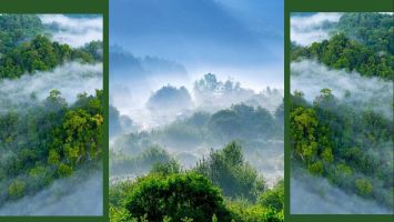 Tư duy hệ thống và sứ mệnh bảo vệ hệ sinh thái