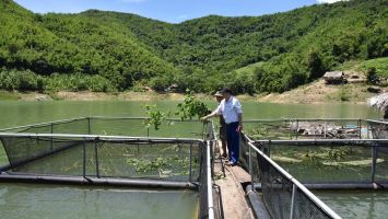 Chính sách phát triển nông nghiệp, nông thôn trên địa bàn tỉnh giai đoạn 2026 - 2030